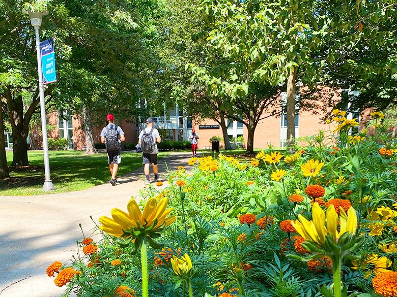 Students walking to and from the library during the summer